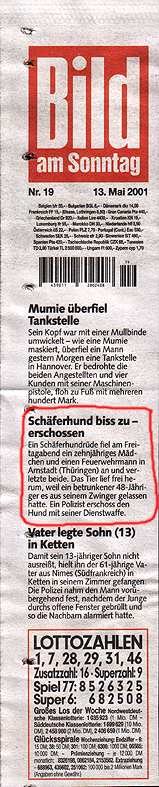 Berichterstattung der Bildzeitung